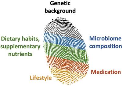 Regional Diets Targeting Gut Microbial Dynamics to Support Prolonged Healthspan